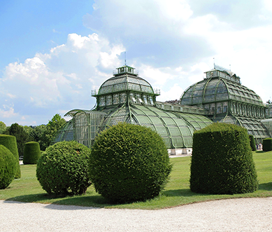 jardin botanique