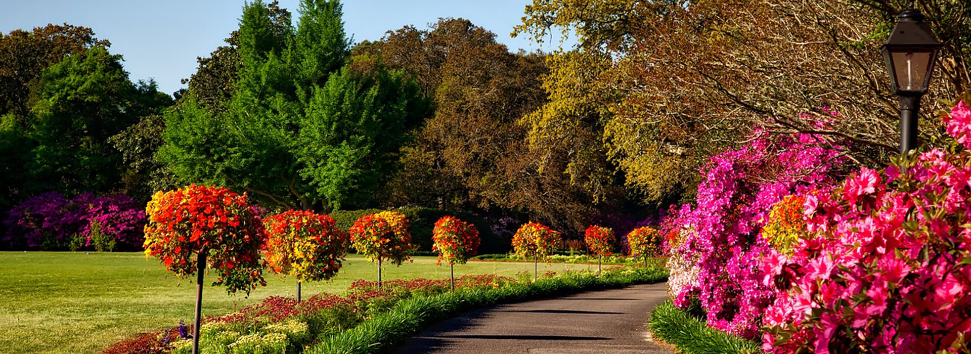 parc et jardin fleuri