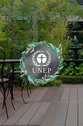 UNEP picto