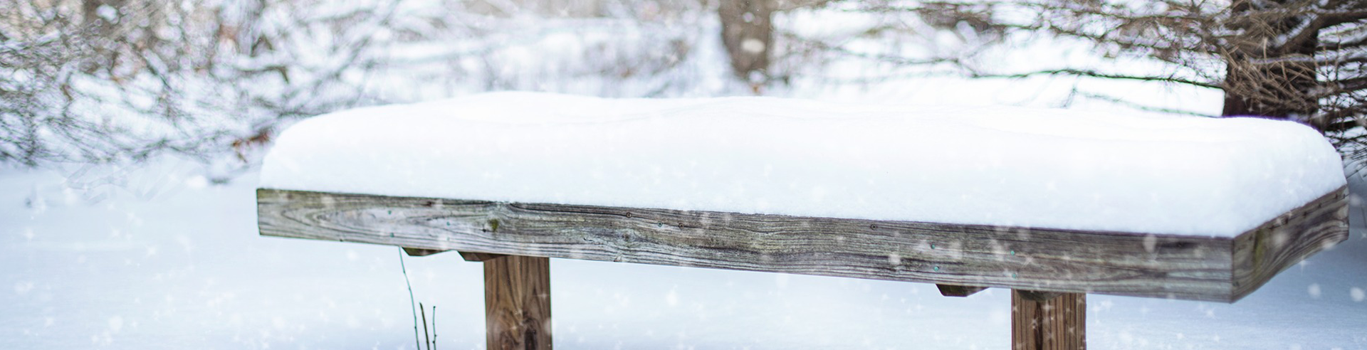 neige sur un banc