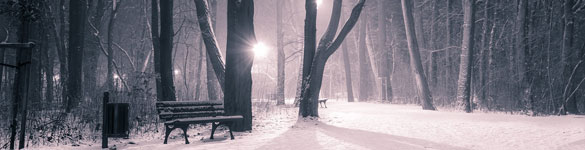 parc nuit hiver